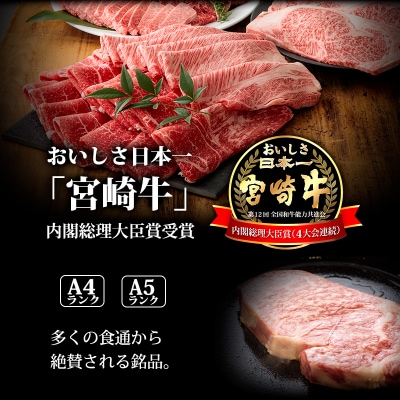 厳選宮崎牛スライス600g 《内閣総理大臣賞受賞》 mi-557