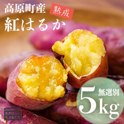【先行受付・令和6年産】高原町産熟成紅はるか5kg(無選別)[さつまいも 焼き芋] TF719