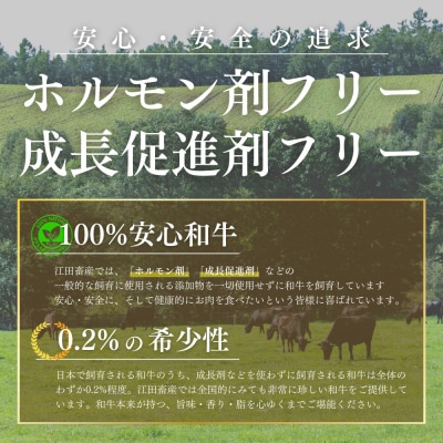 宮崎和牛フルセット910g　ed-728