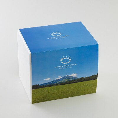 アイスクリーム研究所のカップアイス&アイスサンドお楽しみBセット TF725