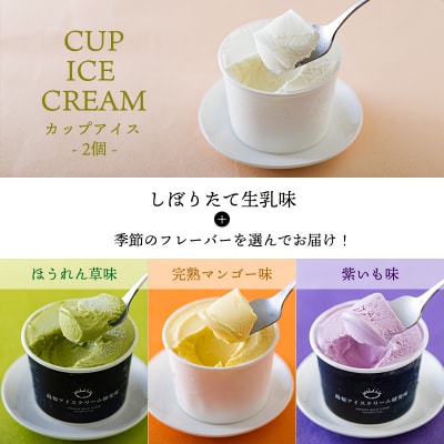 カップアイス・アイスサンド・イチゴパフェお楽しみ詰め合わせセットC(3種類)　tf726