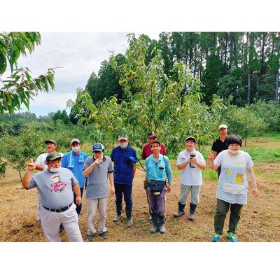 【限定30セット】あさひの里 ふるさとの味セットA　TF737