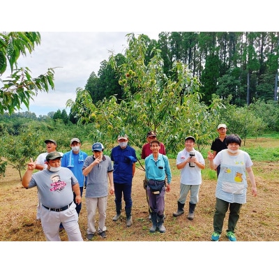 【限定30セット】あさひの里 ふるさとの味セットC　TF739