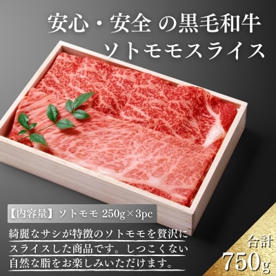 厳選 江田和牛ソトモモスライス750g(250g×3p)　TF745