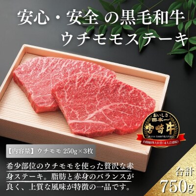 厳選 江田和牛ウチモモステーキ750g(250g×3枚) TF744