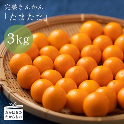 【期間限定】宮崎特産完熟きんかん「たまたま」大容量3kg TF433