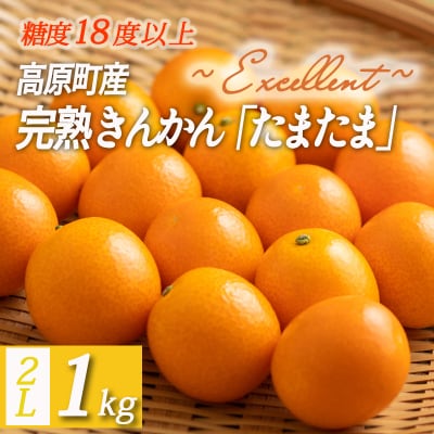 高原町産完熟きんかん『たまたまエクセレント』金柑1kg《ご贈答・ギフト》　TF051