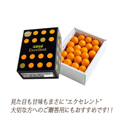 高原町産完熟きんかん『たまたまエクセレント』金柑1kg《ご贈答・ギフト》　TF051