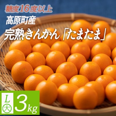 高原町産完熟きんかん『たまたま』L玉たっぷり3kg[宮崎ブランド金柑]　TF052