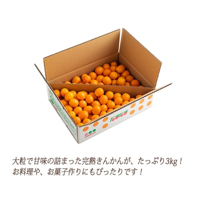 高原町産完熟きんかん『たまたま』L玉たっぷり3kg[宮崎ブランド金柑]　TF052