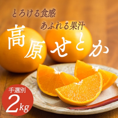 【数量限定】宮崎県産『高原せとか』ご家庭用約2kg(大小混合7~9玉) TF746