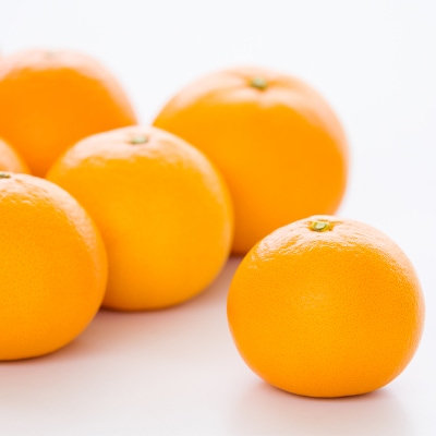 【数量限定】宮崎県産「高原せとか」ご家庭用約2kg(大小混合6~8玉) TF746