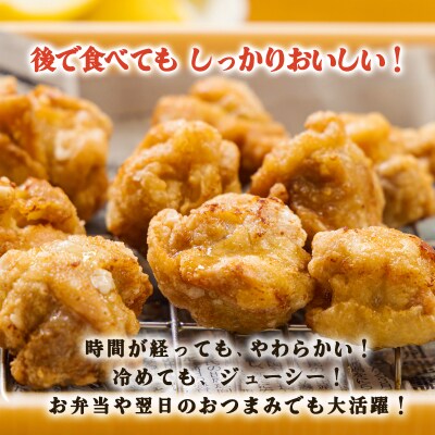 冷めてもおいしい九州産若鶏の大きな唐揚げ1.5kg(500g×3袋)　TF742