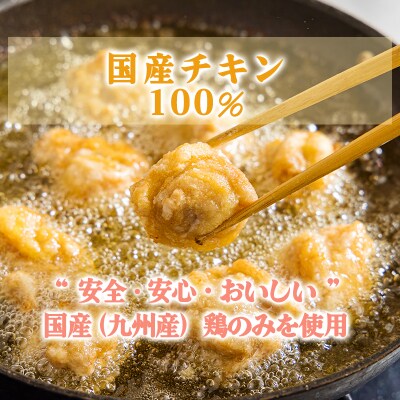冷めてもおいしい九州産若鶏の大きな唐揚げ1.5kg(500g×3袋)　TF742