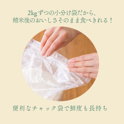 霧島湧水が育む特別栽培米「きりしまのゆめ」3種類食べ比べセット6kg[真空 小分け]　TF760