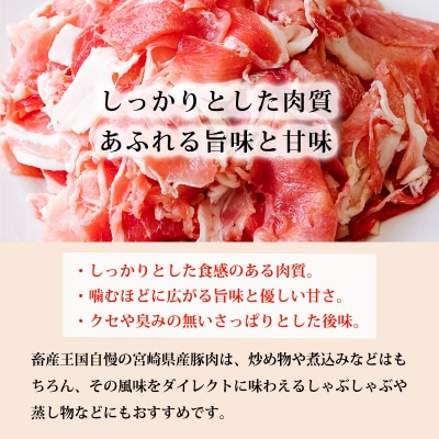 高原育ちの宮崎県産豚肉切り落とし&ミンチ定期便6回合計9kg[アレンジ色々万能食材]　TF769