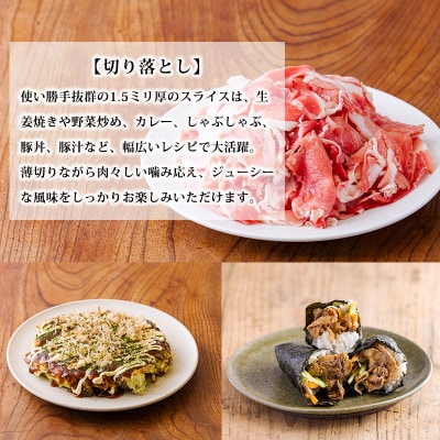 高原育ちの宮崎県産豚肉切り落とし&ミンチ定期便6回合計9kg[アレンジ色々万能食材]　TF769
