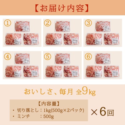 高原育ちの宮崎県産豚肉切り落とし&ミンチ定期便6回合計9kg[アレンジ色々万能食材]　TF769