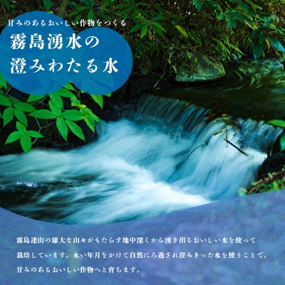 【先行受付令和7年産】霧島湧水が育む「きりしまのゆめ」コシヒカリ6kg無洗米　gm-665