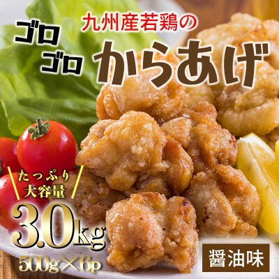 冷めてもおいしい 九州産若鶏大きな唐揚げ3.0kg(500g×6袋)　TF775