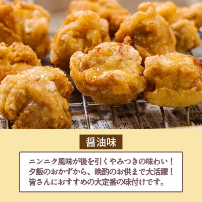 冷めてもおいしい 九州産若鶏大きな唐揚げ3.0kg(500g×6袋)　TF775
