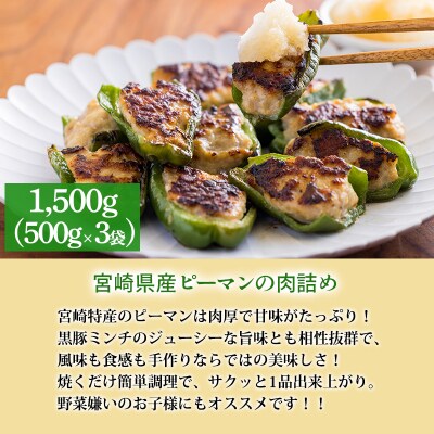 国産素材の手作りお惣菜Aセット3種類 計3.1kg(ピーマン肉詰め 唐揚げ ハンバーグ)　TF776