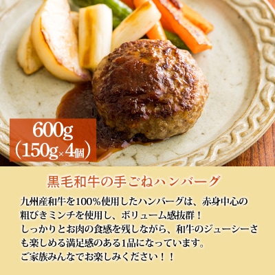 国産素材の手作りお惣菜Aセット3種類 計3.1kg(ピーマン肉詰め 唐揚げ ハンバーグ)　TF776