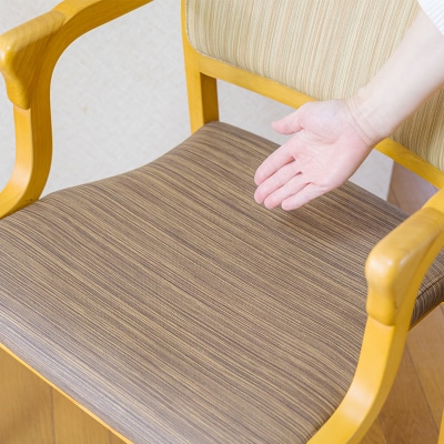 姿勢保持用チェア「シーセイ」1脚[介護 バリアフリー 腰痛 糜爛 粉瘤]　TF778