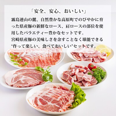 高原育ちの宮崎県産豚肉5種バラエティーセット1.5kg[とんかつ 焼肉 しゃぶしゃぶ]　TF779