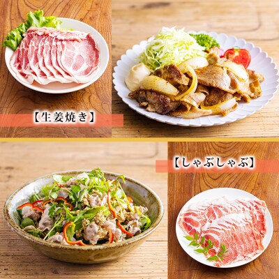 高原育ちの宮崎県産豚肉5種バラエティーセット1.5kg[とんかつ 焼肉 しゃぶしゃぶ]　TF779