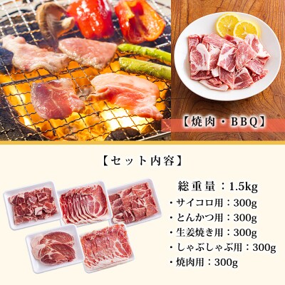高原育ちの宮崎県産豚肉5種バラエティーセット1.5kg[とんかつ 焼肉 しゃぶしゃぶ]　TF779