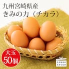 《大玉の赤たまご》 宮崎県産きみの力(チカラ)Lサイズ卵 50個　TF793
