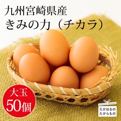 《大玉の赤たまご》 宮崎県産きみの力(チカラ)Lサイズ卵 50個　TF793