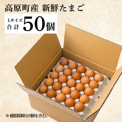 《大玉の赤たまご》 宮崎県産きみの力(チカラ)Lサイズ卵 50個　TF793