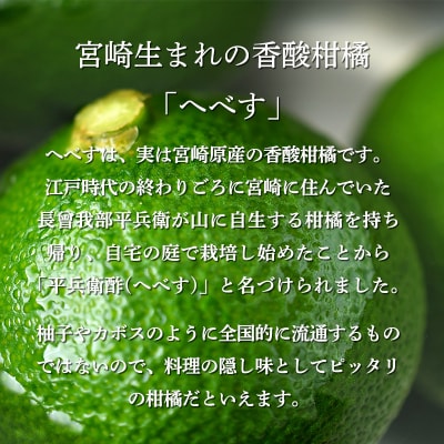 宮崎の特産柑橘へべすの手搾り果汁1L(業務用) TF789
