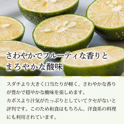 宮崎の特産柑橘へべすの手搾り果汁1L(業務用) TF789