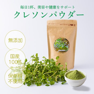 無添加 高原町産クレソンパウダー1袋(100g)[国産 微粉末] TF794
