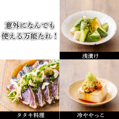 トマトサラダのために生まれたドレッシング『トマサラのたれ』2本 TF787