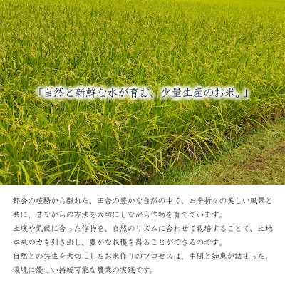 【数量限定】農薬・化学肥料不使用 無農薬「陽の光穂(ひのひかり)」3kg(1kg×3p) TF803