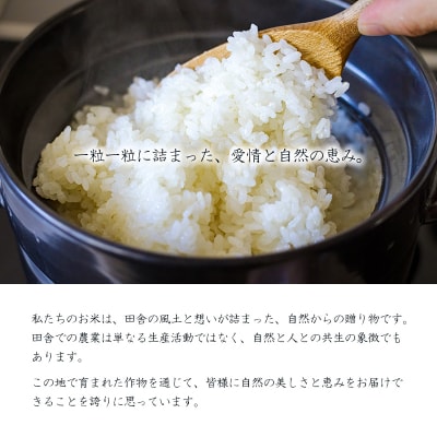 農薬・化学肥料不使用 無農薬『陽の光穂(ひのひかり)』3kg(1kg×3p) TF803
