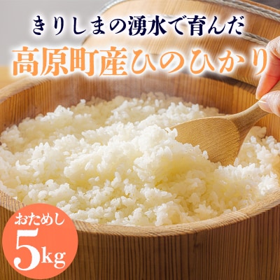 【ふるさと納税】きりしまの湧水育ち高原町産ひのひかり5kg TF809