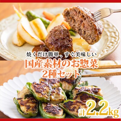 焼くだけ簡単!国産素材のハンバーグ&ピーマンの肉詰めセット TF813