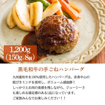 焼くだけ簡単!国産素材のハンバーグ&ピーマンの肉詰めセット TF813