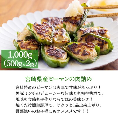 焼くだけ簡単!国産素材のハンバーグ&ピーマンの肉詰めセット TF813