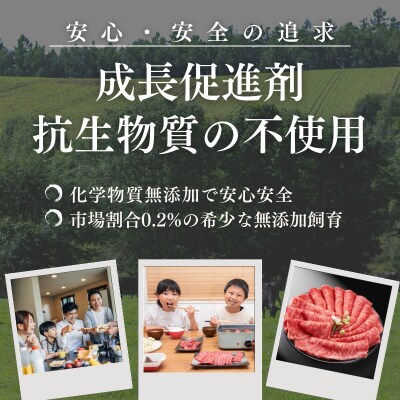 【定期便】厳選江田和牛スライスセット5kg(1.25kg×4回)TF804