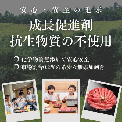 【定期便】厳選江田和牛スライスセット10kg(2.5kg×4回)TF805
