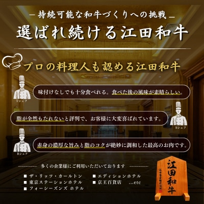 【定期便】厳選江田和牛スライスセット10kg(2.5kg×4回)TF805