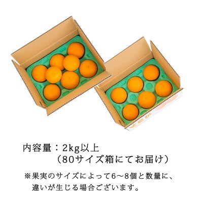 【期間限定】高原町産「せとか」無選別 約2kg(大小混合6~8玉) TF814