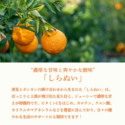 濃厚な甘さ しらぬいの手搾り果汁1L(業務用) TF816