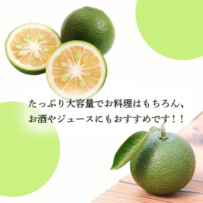 自家製ポン酢やサワーにおすすめ かぼすの手搾り果汁1L(業務用) TF818